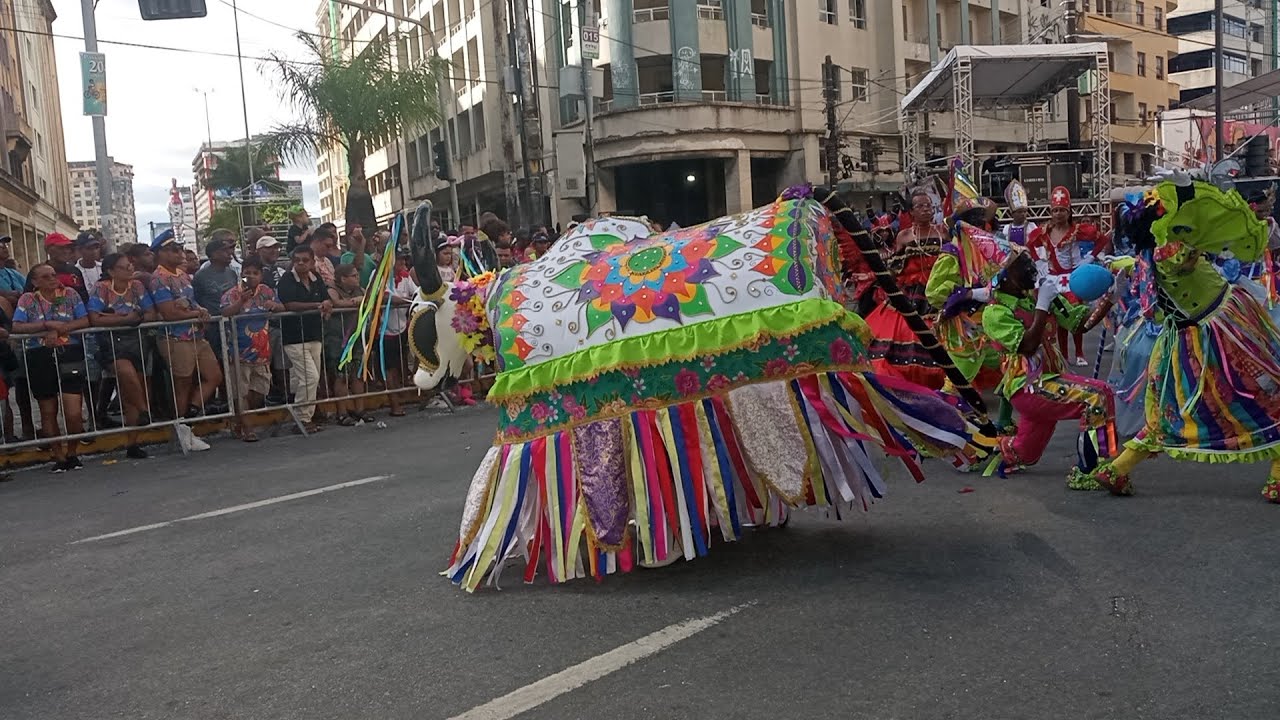 Concurso de agremiações carnavalescas do Recife -PE 2024 boi fantástico e o mestre Neydson lira.💥❤️