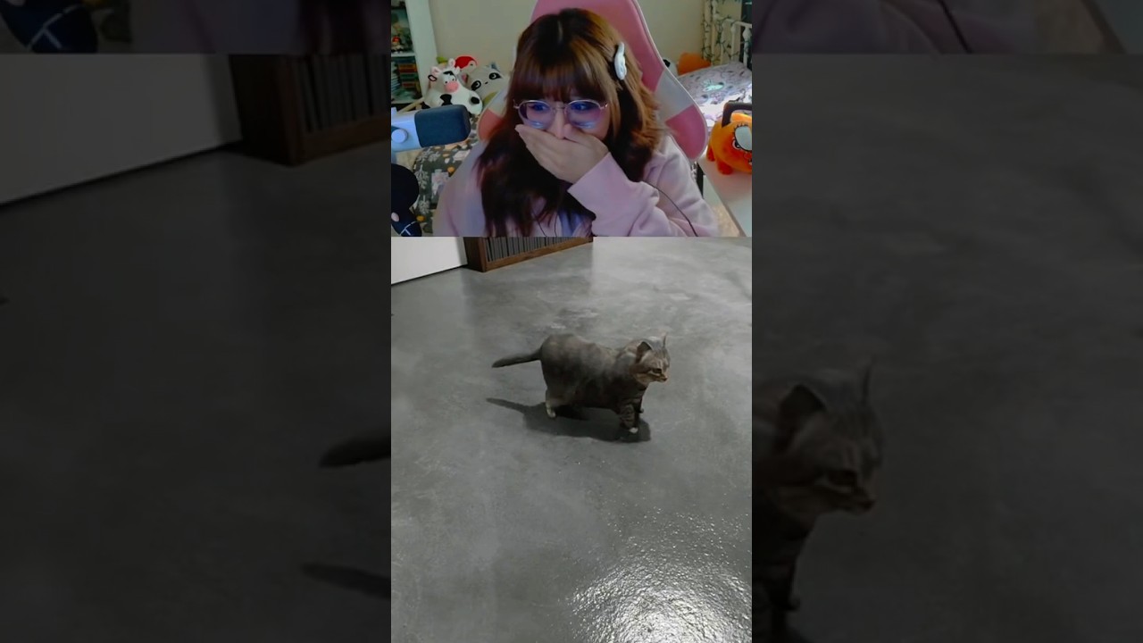 W devs for giving us a cat party 🎉 #twistedgallery #gamingshorts