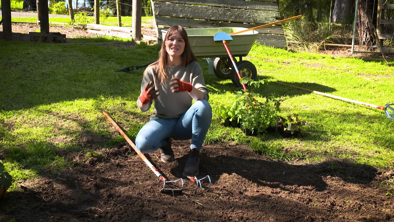 The Garden Gurus - Making a Fresh Veggie Patch