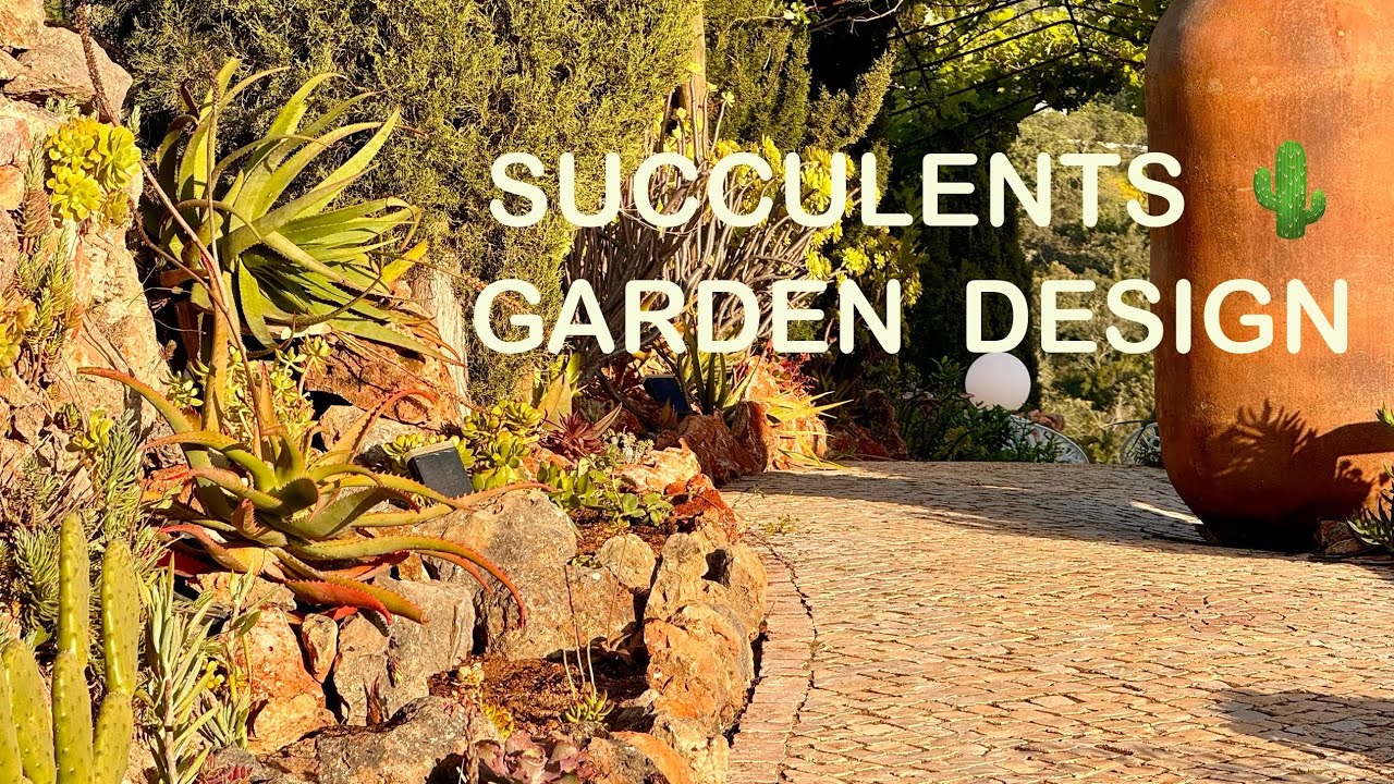 Apr 21, 2024: Creating a succulents 🌵 garden between wine tunnel and veggie garden 🪴