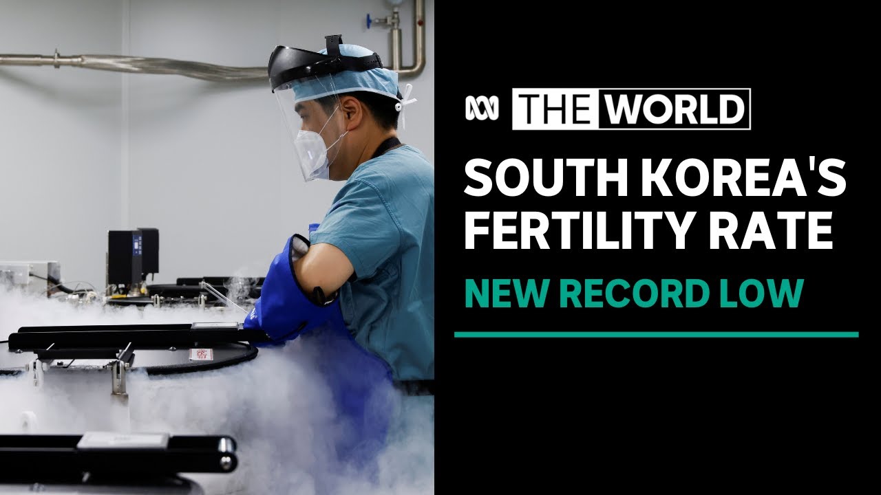 South Korea's record-low fertility rate keeps dropping | The World