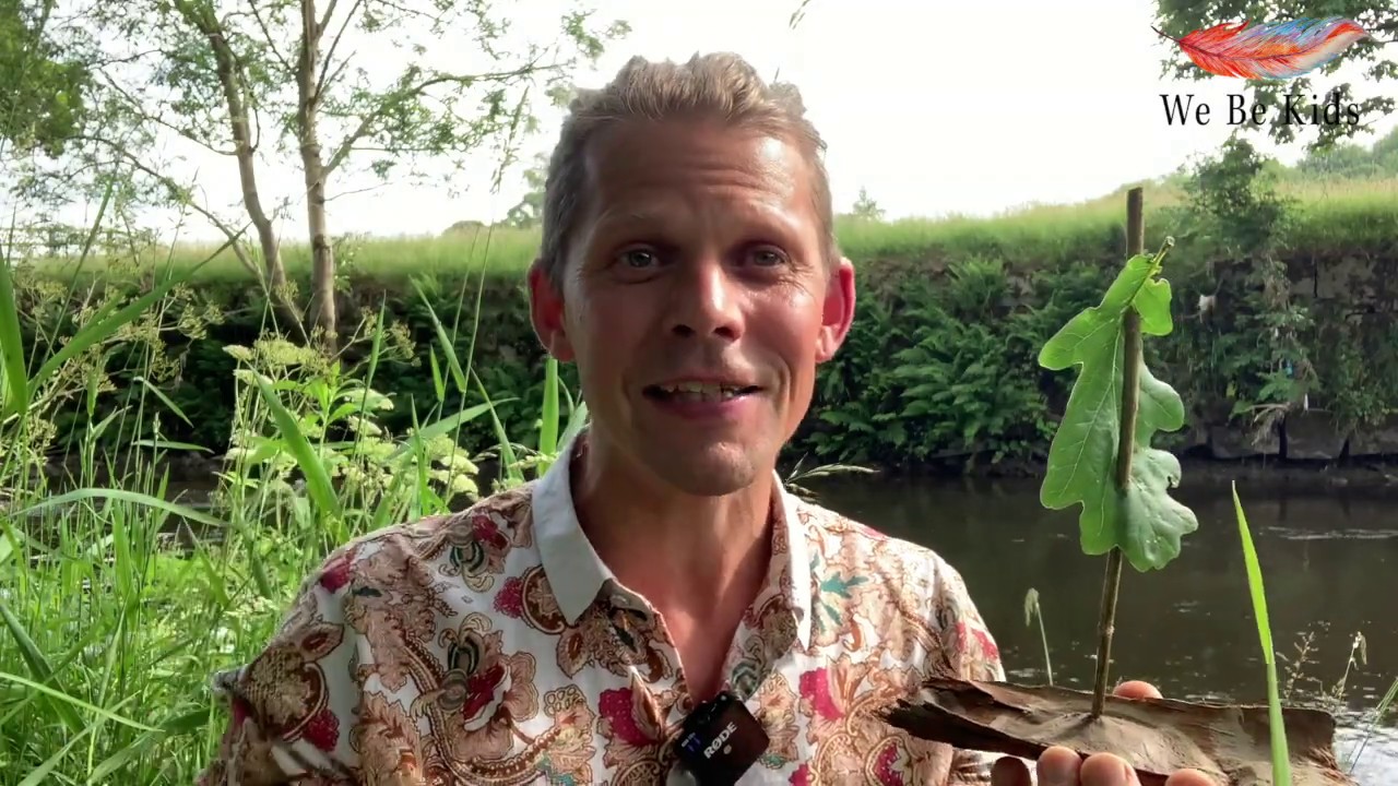 Nature Activity- Make Bark Boats