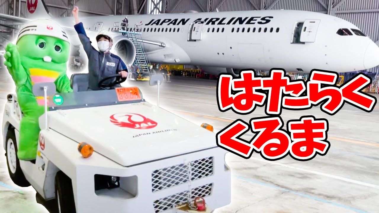 たくさんのひこうきが集まる！羽田空港の整備場ではたらくくるまに乗ってみた！【JAL/日本航空】