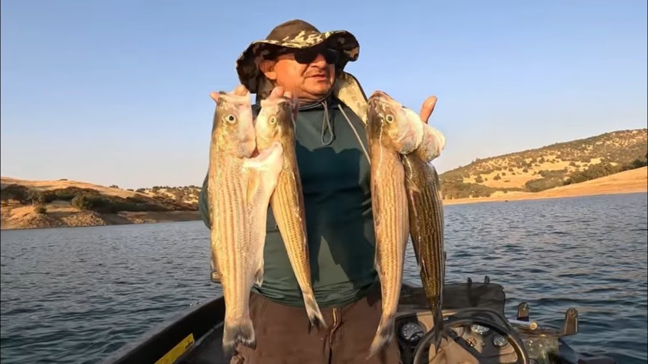 🔥🔥🔥SIGEN ACTIVOS LOS STRIPER EN NEW HOGAN LAKE #FISHING #FISH 