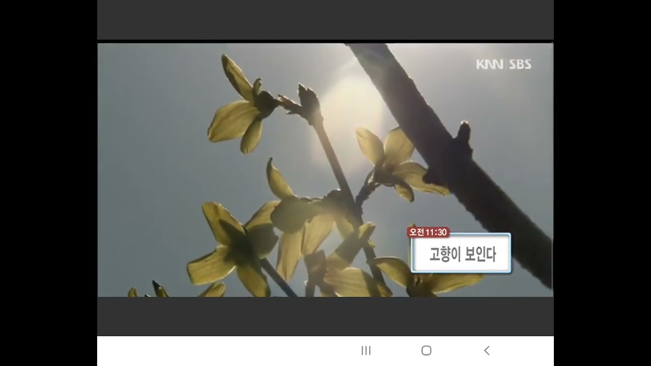 KNN부산방송 오늘의 방송순서&방송시작영상(2022/3/18 방송)