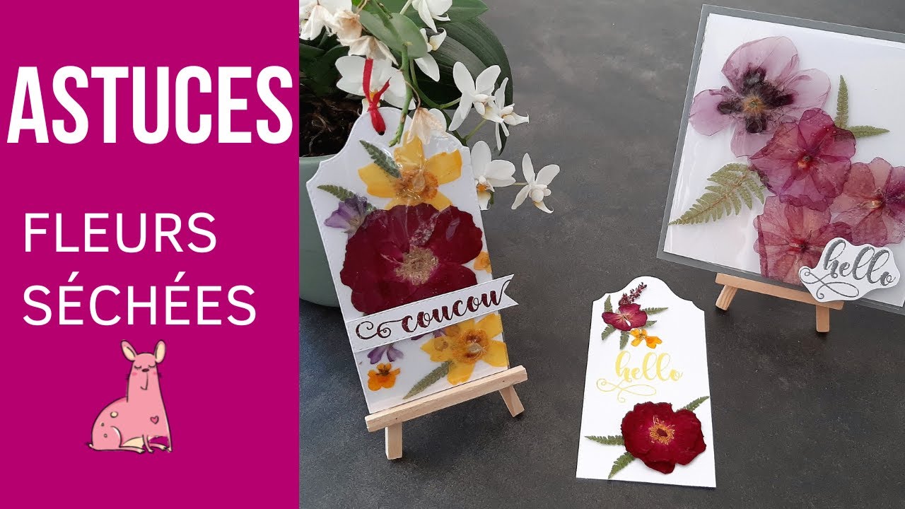 COMMENT SECHER LES FLEURS RAPIDEMENT