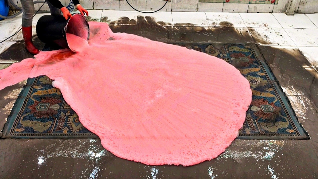 Extreme ASMR Carpet Cleaning | Muddy Flood Restoration (Satisfying)