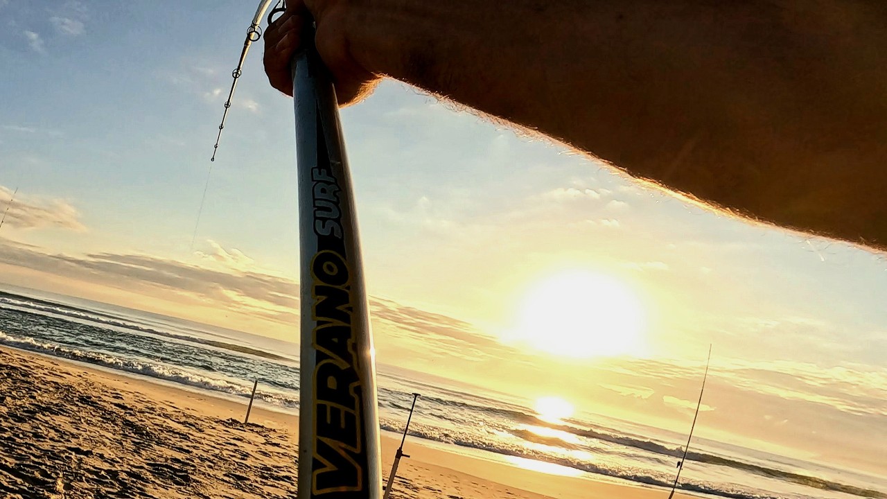 Peixe gigante me surpreende na pescaria de praia. ##pescadepraia #fishing #bigfish #borapescar #isca