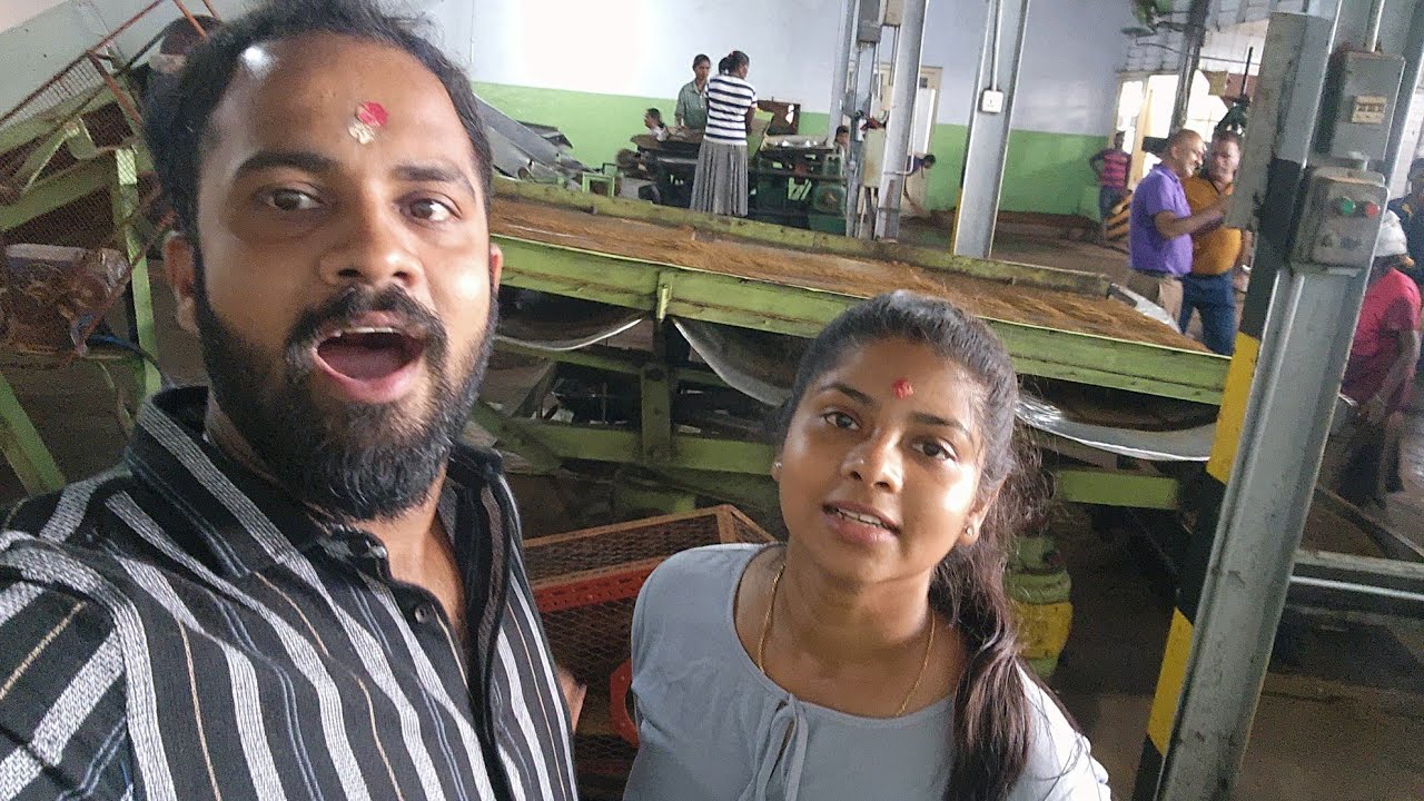 තේ කර්මාන්ත ශාලාවක් ඇතුලට ගිහින් තියෙනවද නැත්නම් එන්න යන්න | Hope Tea factory | Trip Eka