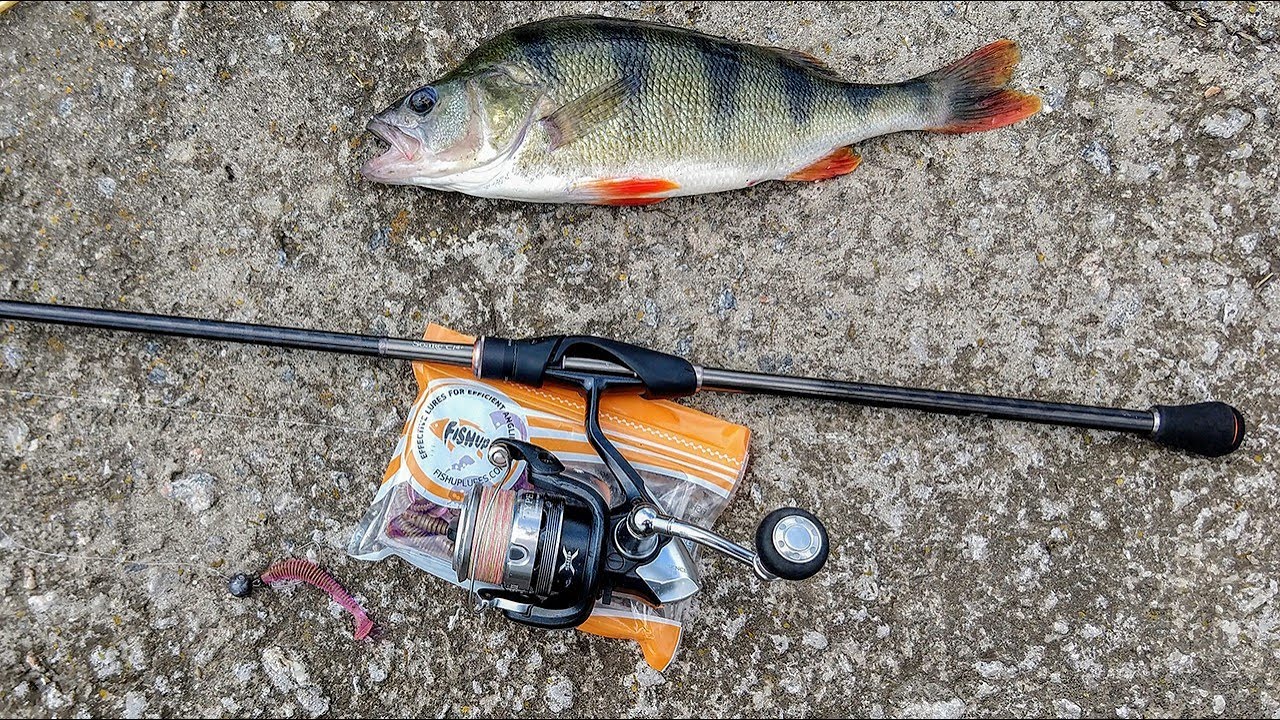 Shimano Soare CI4+17 S900MS.Спортивный дальнобойный лайт под окуня.