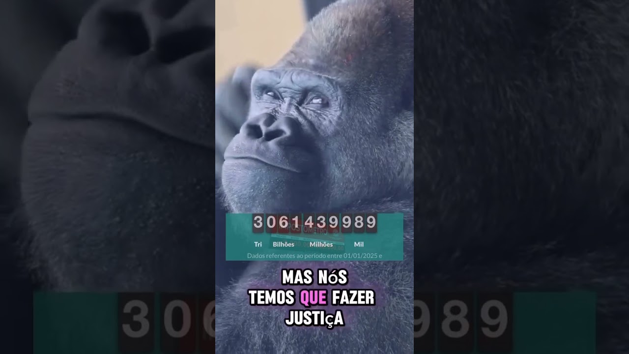 pa&iacute;s de m