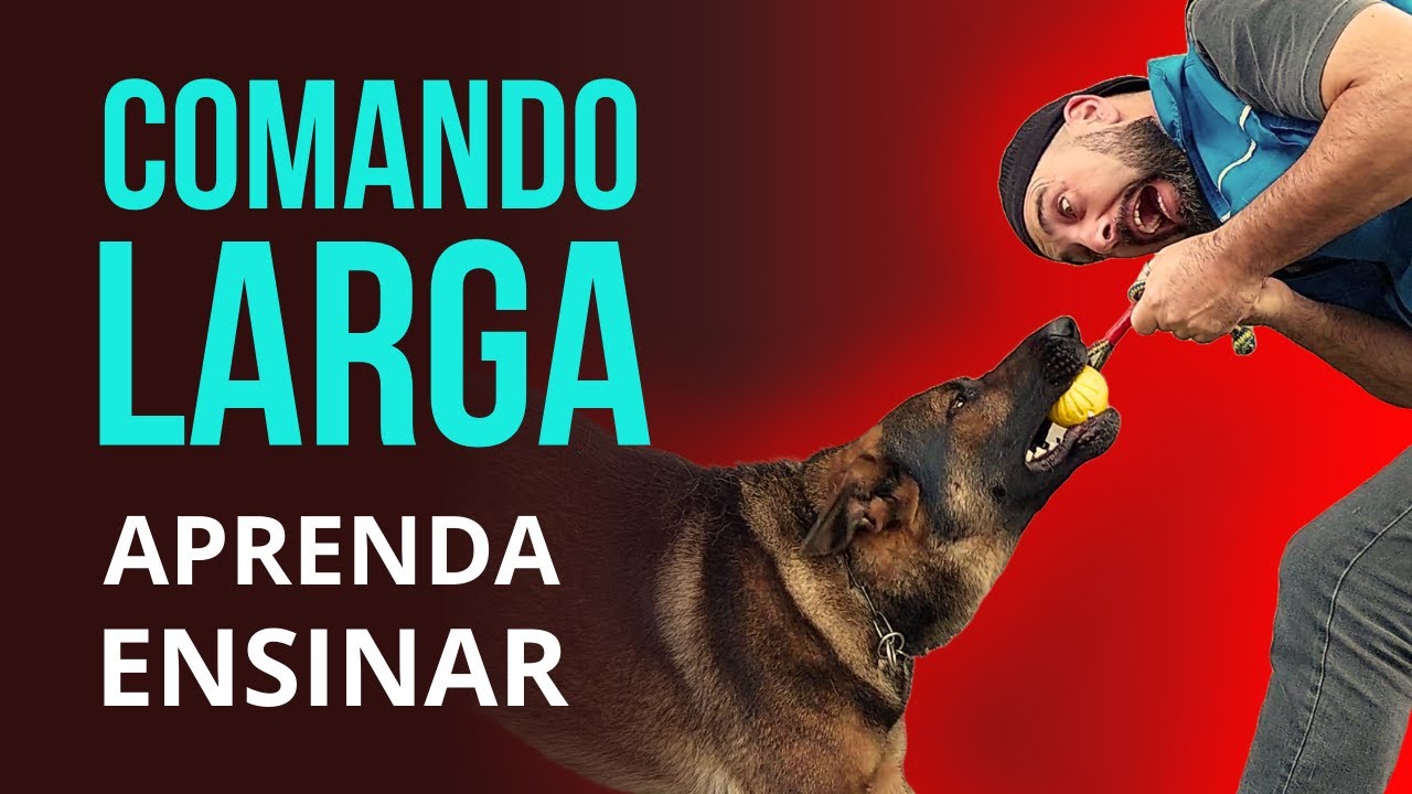 COMANDO LARGA - Ensine seu cachorro LARGAR ou SOLTAR sob comando