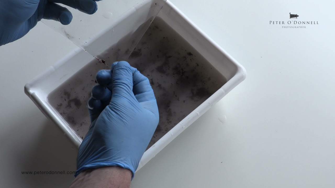 Orotone - Removing Old Emulsion