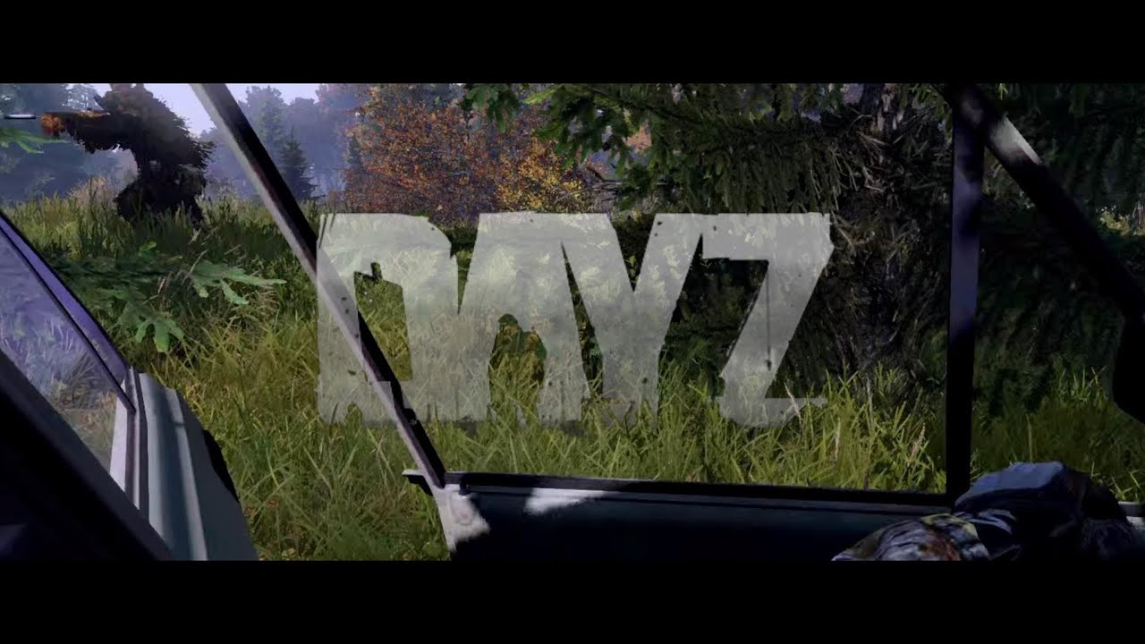 DAYZ - EMBUSCADE A KOMAROVO