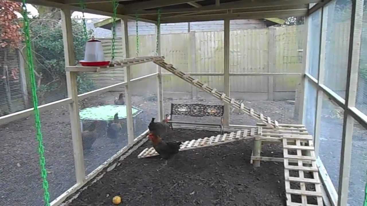 My new Chicken Run - Preesall & Knott End - Happy Chicks