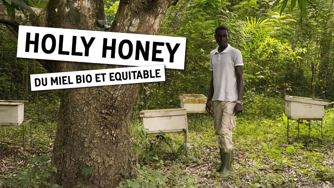 Holly Honey, une coopérative de miel bio - CÔTE D'IVOIRE