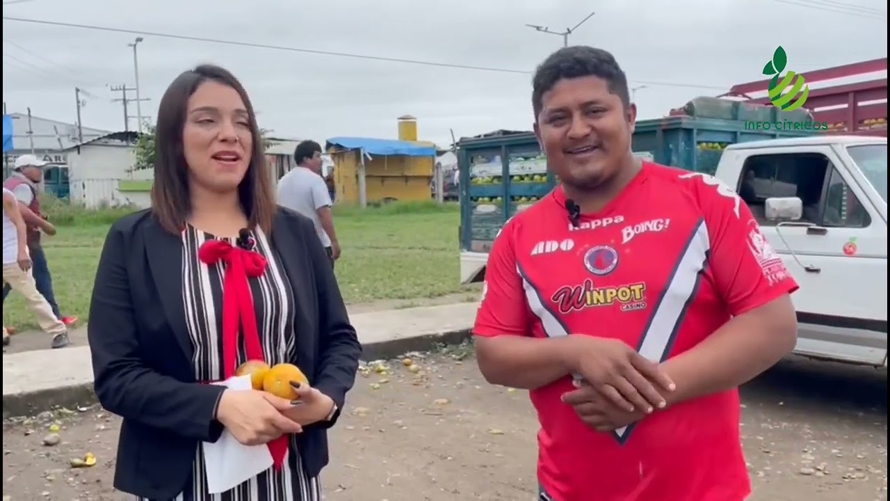 Variedades de cítricos dulces de temporada que se producen en Martínez de la Torre y la región.