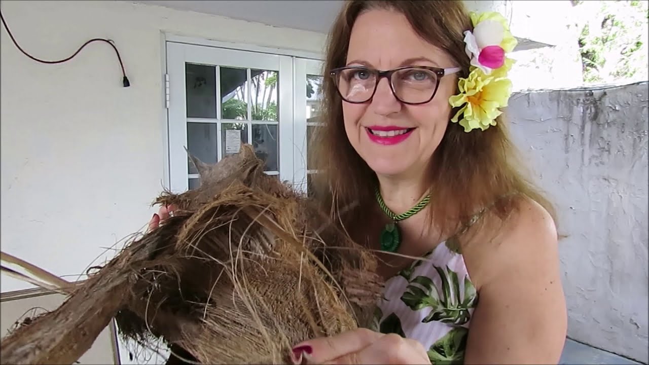 Que contiene un SUSTRATO para ORQUIDEAS y como hago un sustrato con materiales del jardin #230