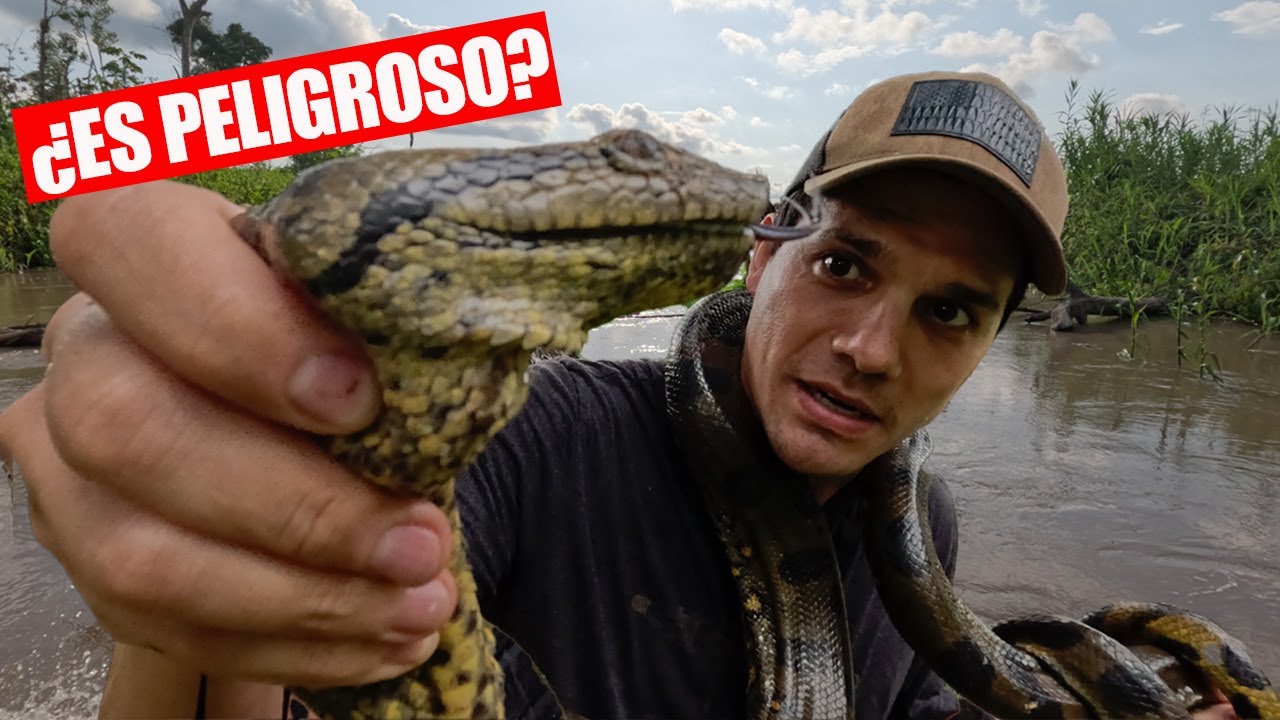 Explorando el Corazón del AMAZONAS peruano 🇵🇪