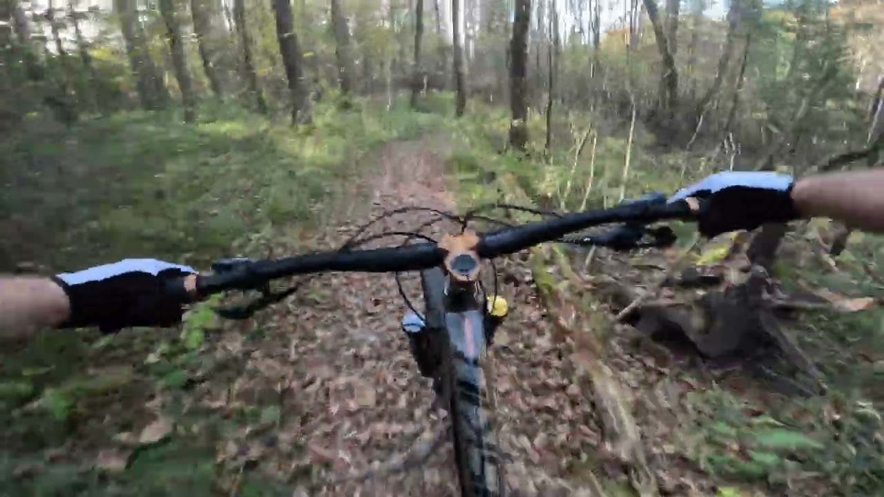 Какой-то был 🚵Freeride🚵