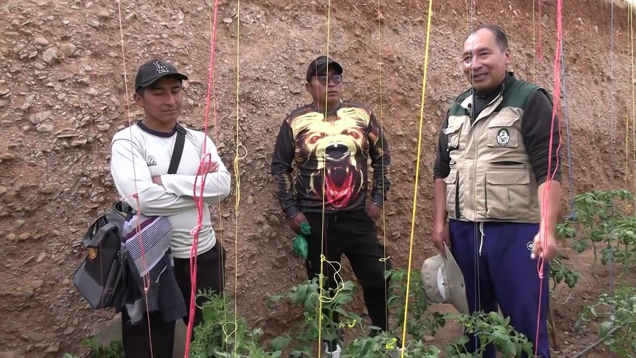 CONSTRUCCIÓN Y MANEJO AGROECOLÓGICO DE INVERNADEROS Y WALIPINIS PARTE 2