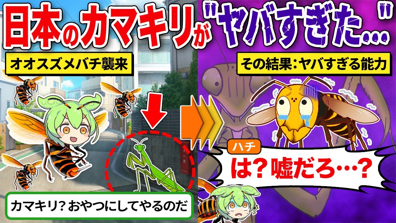【修羅の国】日本カマキリさんのチート能力がヤバすぎた