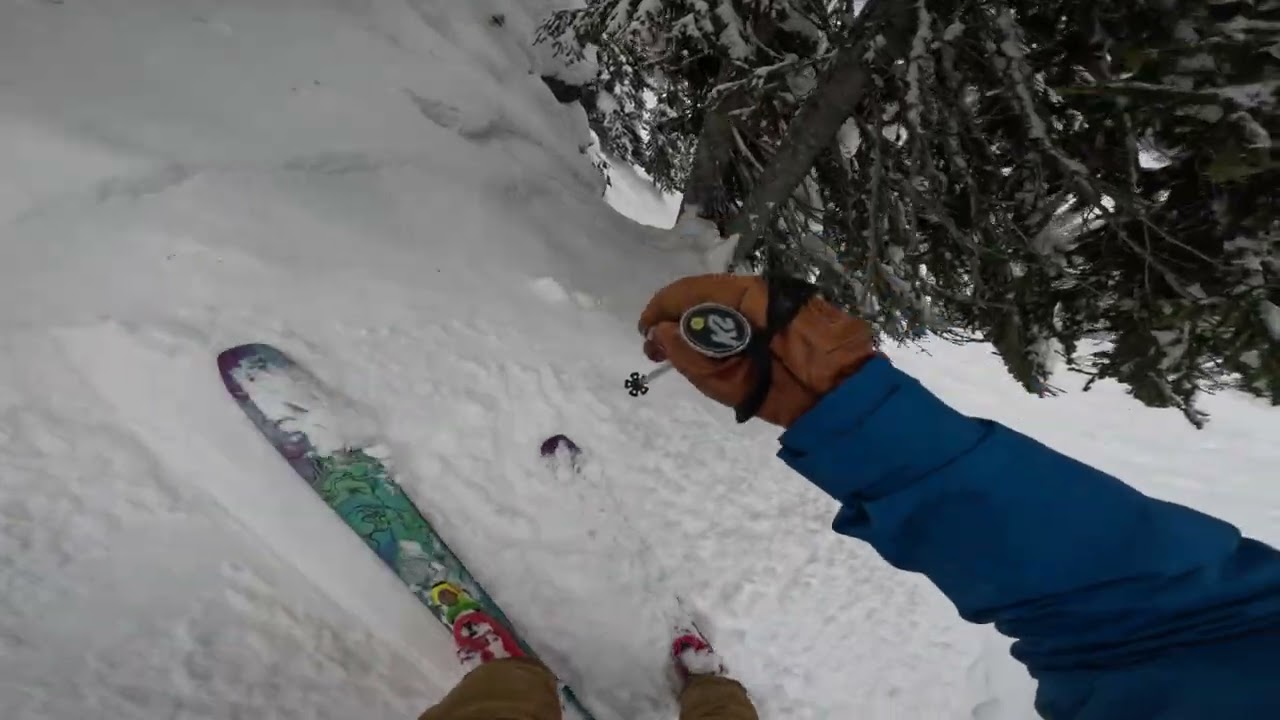 Revelstoke - Parachute (2-1-26)