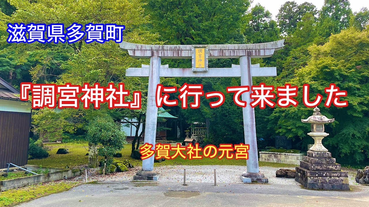 【調宮神社】滋賀県犬上郡多賀町栗栖にある多賀大社の元宮⛩️ 杉坂山神木杉🌲