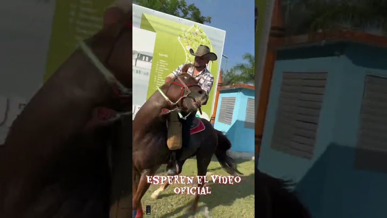 Corridos de Cuba algunos de los patrones y cuidadores