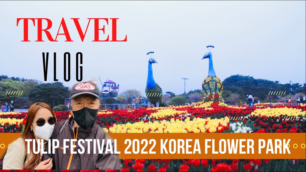TAEAN TULIP FESTIVAL 2022 SOUTH KOREA. THE LARGEST FLOWER FESTIVAL IN CHUNGCHEONGNAMDO