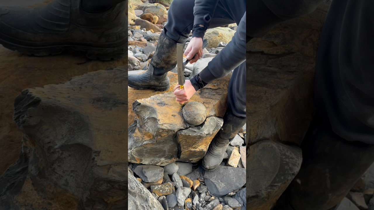 Fossil hunting on the Jurassic Coast for ammonite fossils #fossil #hunting #rock #stone #hammer
