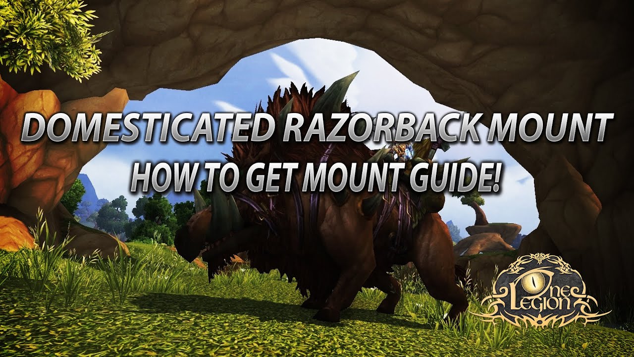 How To Get Domesticated Razorback Mount Guide - Steamwheedle Preservation Society Reputation