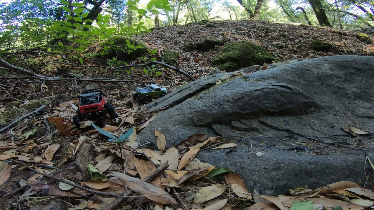 Forest adventure crawl with Axial SCX24's