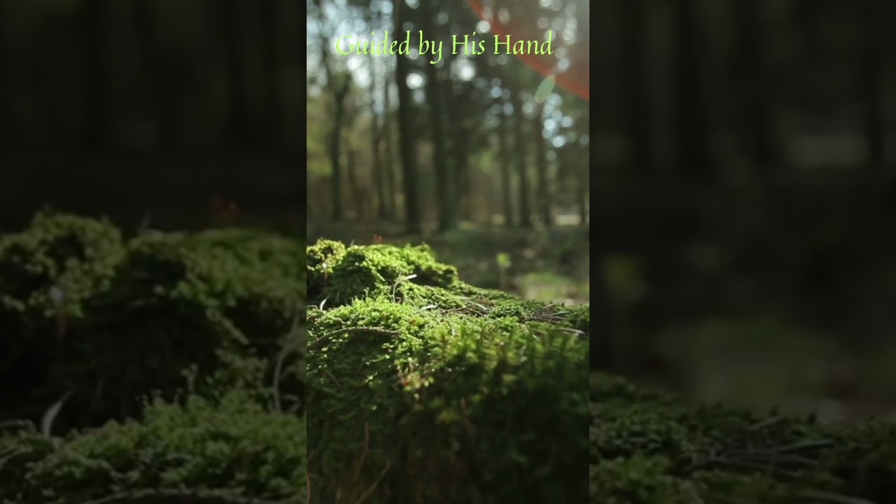 Guided by His Hand