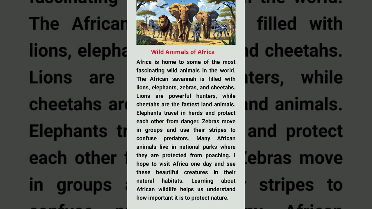 Wild Animals of Africa 
