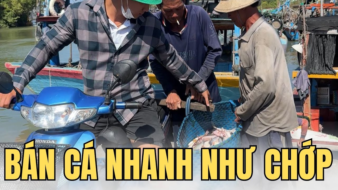 CẢNG CÁ ĐƯỢC DÂN SÀI GÒN SĂN ĐÓN||CẢNG CÁ CAO ĐIỂM CHỈ VÀI GIỜ TRONG NGÀY||CẢNG ĐỒNG HÒA - CẦN GIỜ