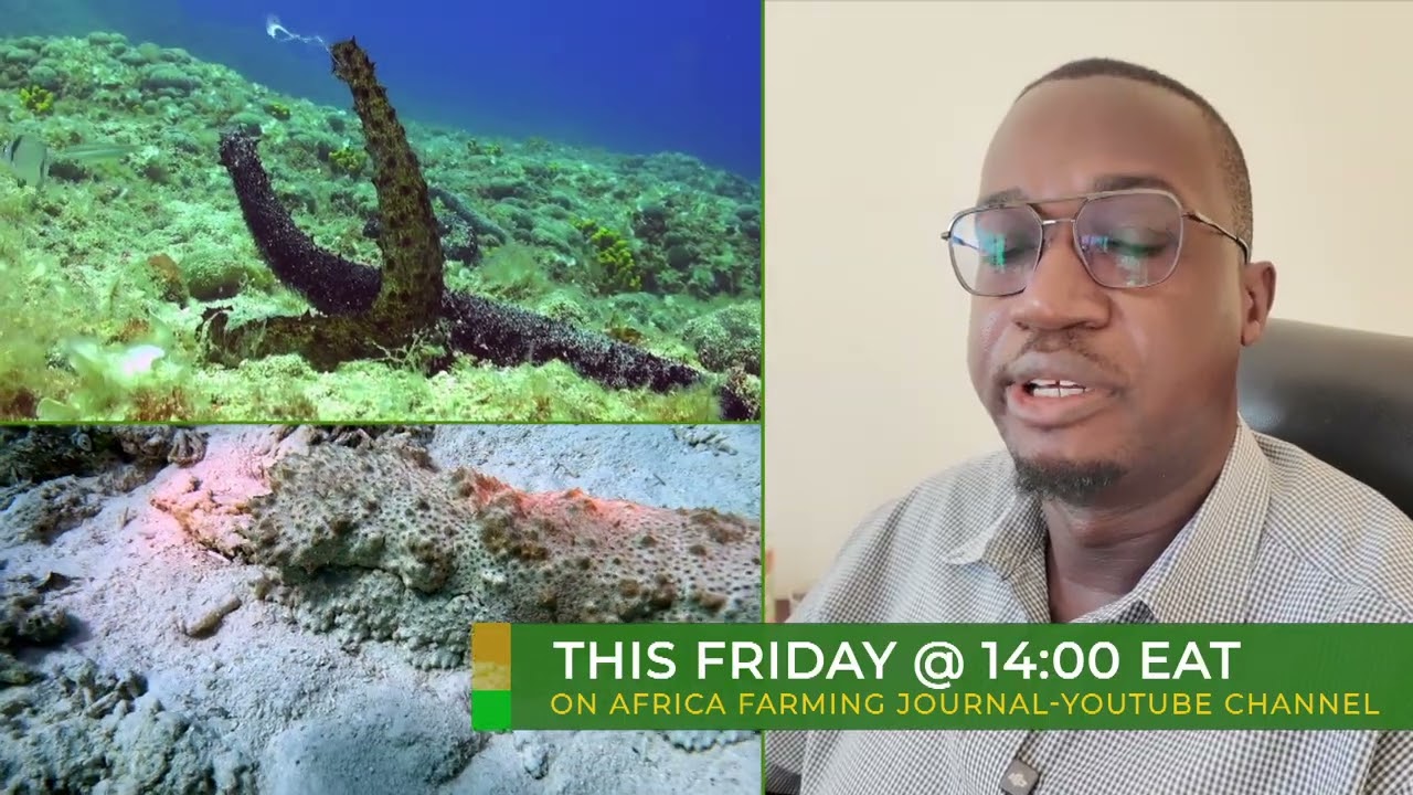From Crisis to Goldmine: The Future of Mariculture in Africa