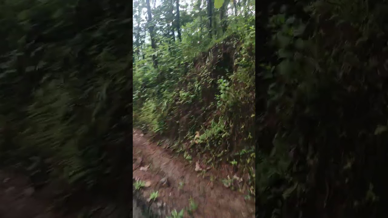 Gua lagi ngeplog ga main dulu lokasi gua jauh jauh dari Jawa Barat ke Jawa Tengah 