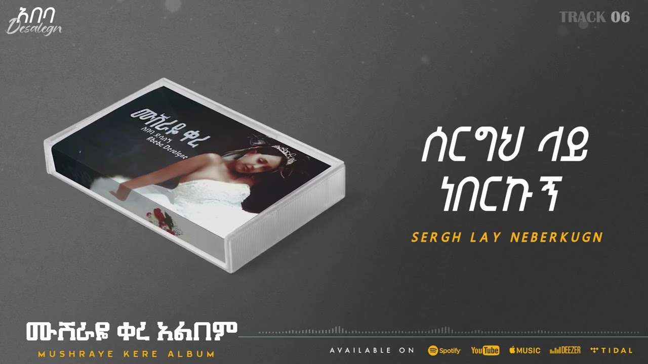Abeba Desalegn - Sergh Lay Neberkugn - ሰርግህ ላይ ነበርኩኝ _ Collection | Track 06 (Official Audio)