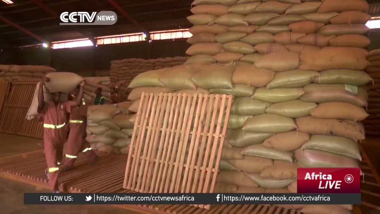 Uganda&rsquo;s economy shrinks by 1.3%
