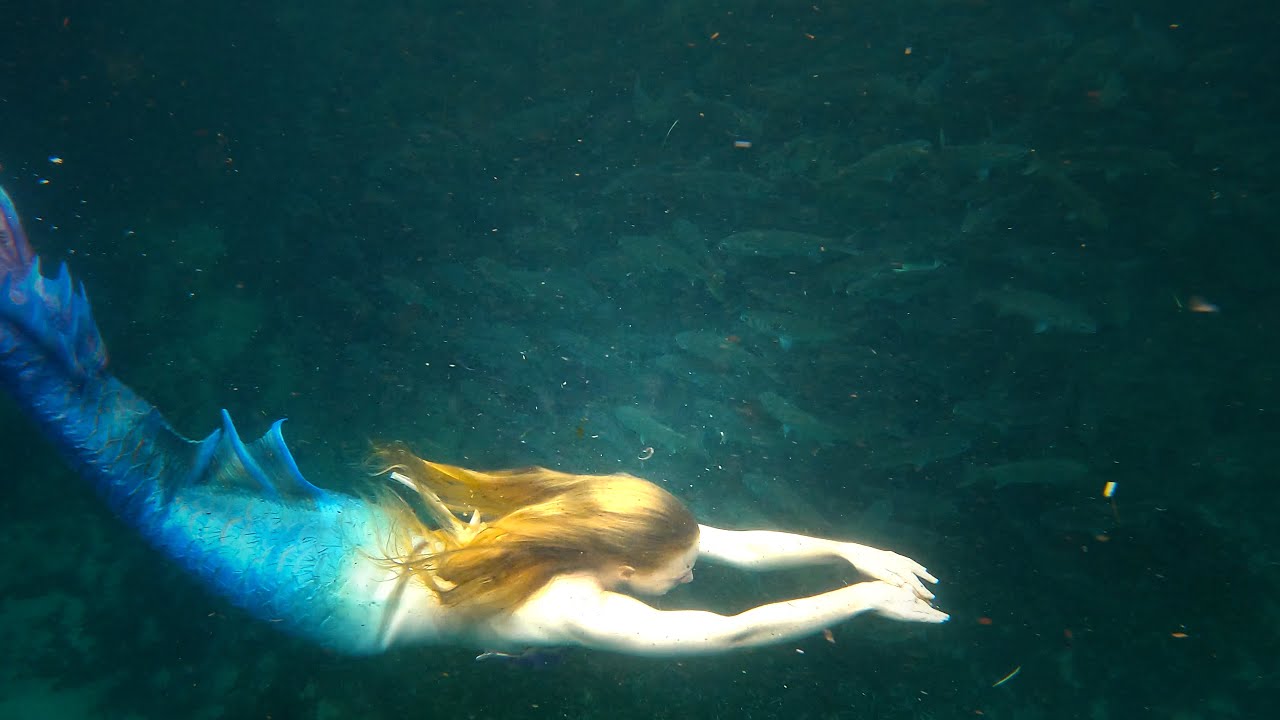 CRYSTAL RIVER MERMAIDS SWIM WITH A SCHOOL OF FISH | Florida Adventure Series part 11 | MYSTICAL