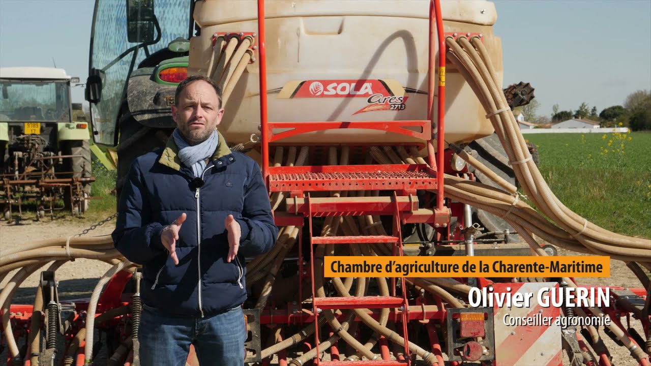 TANDEM &ndash; Binage des c&eacute;r&eacute;ales - FOCUS Comment choisir son guidage