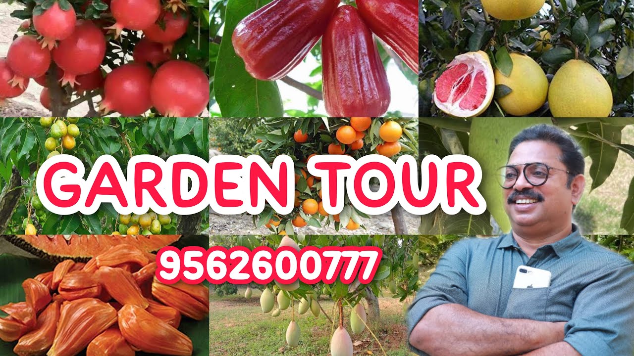 RAZZ GARDEN TOUR