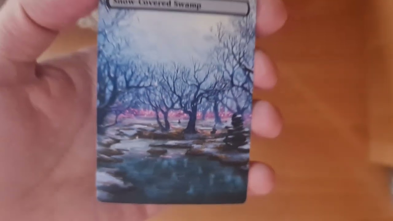 Snow-Covered Swamp