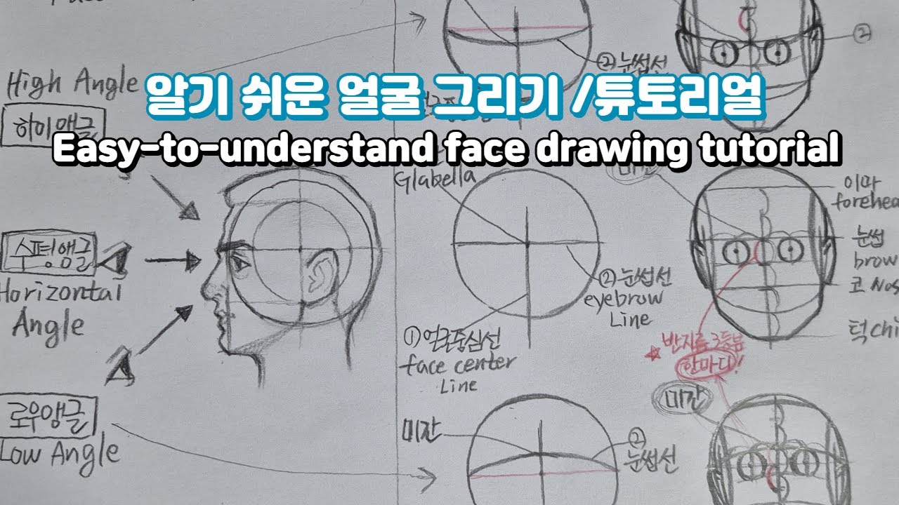 다양한 각도 얼굴그리기 튜토리얼 /얼굴 모형으로 얼굴 쉽게 그리는 법/초보자도 쉽게 할 수 있는 루미스 기법 배우기