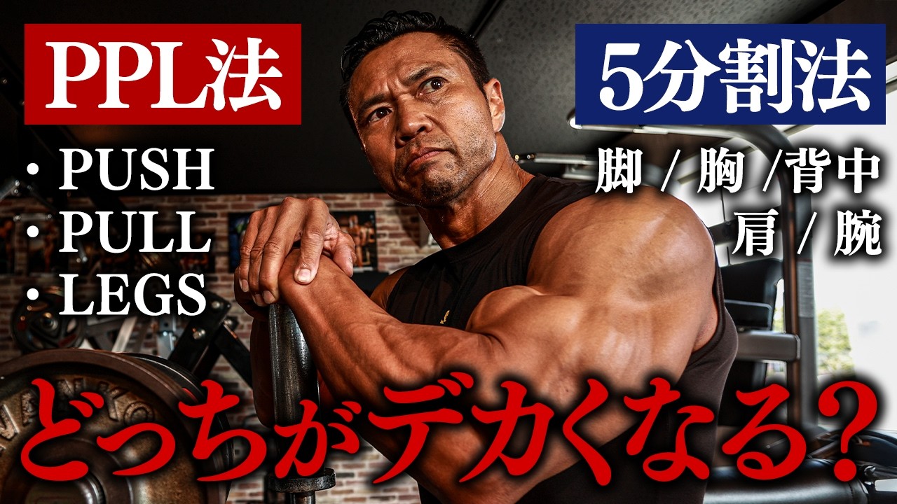 【PPL vs 5分割】結局どっちが最速でデカくなる？元ボディビル王者が本音で回答します。【質問回答】