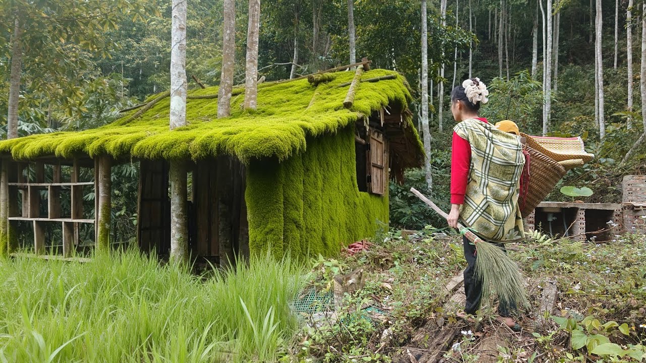 How did the single mother change after moving to the abandoned log cabin in the mountains?