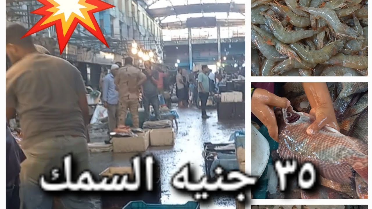 اسعار السمك في سوق العبور ٣٥ 💥جنيه والجمبري والبوري الطازج والسعر ببلاش وازاي تعرفي السمك الطازج 👏👏