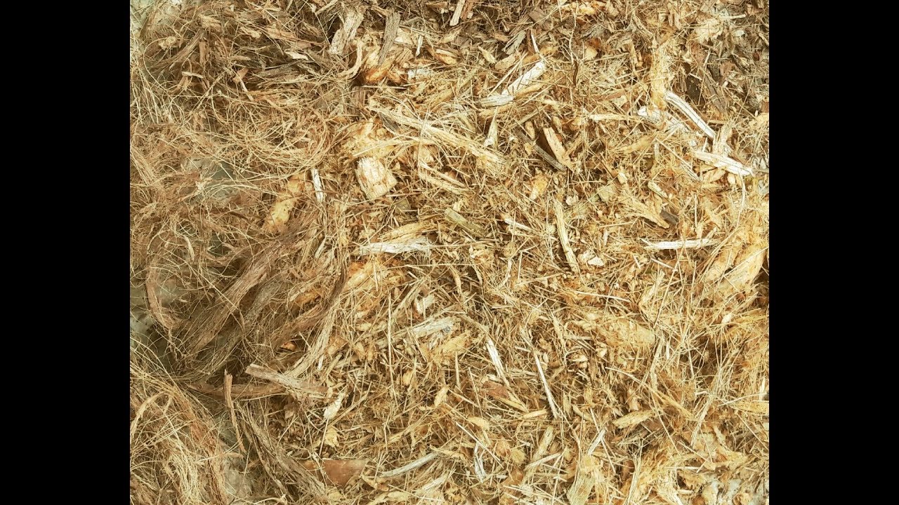 Como fazer fibra de coco,  Preparo, retirada de tanino e suas ultilidades para adulbo e cobertura