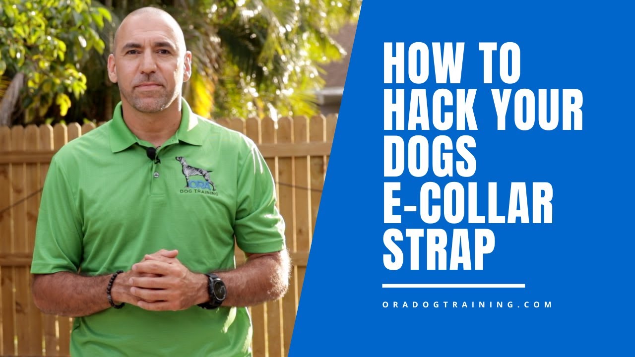How to Change/Convert Your Dogs E-Collar Strap to a Fabric Collar With Clip  (Garmin E-Collar Hack)
